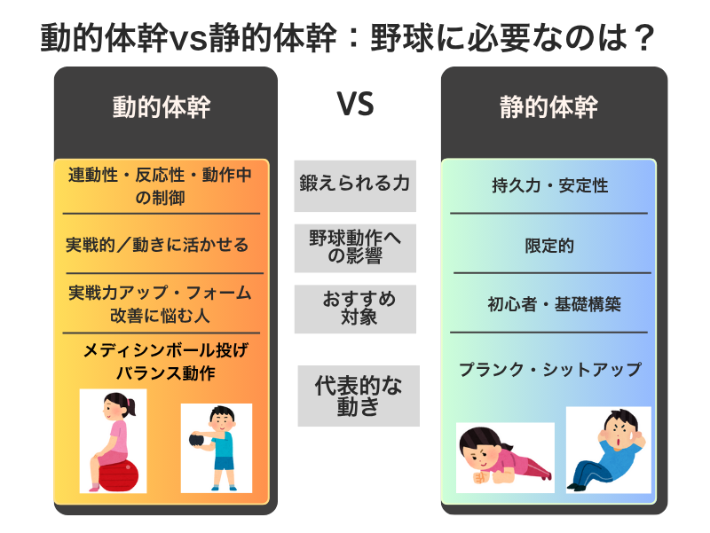 動的体幹と静的体幹の比較図