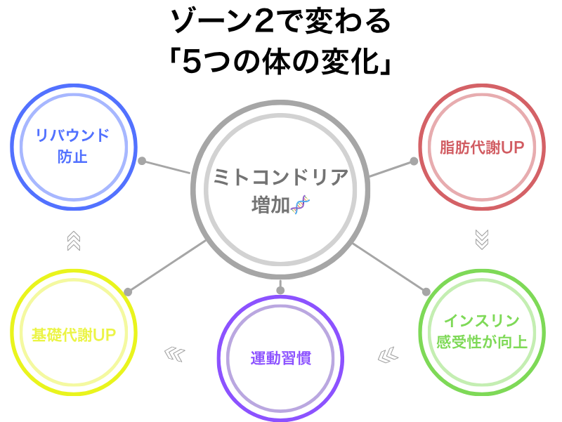 ゾーン2で変わる5つの体の変化