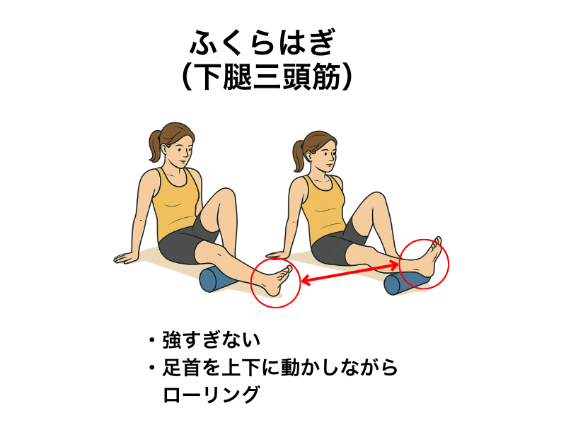 筋膜リリース ふくらはぎ（下腿三頭筋） フォームローラーのやり方｜足首から膝下へ優しくローリング