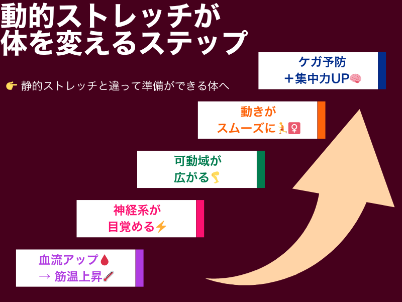動的ストレッチが体を変えるステップ