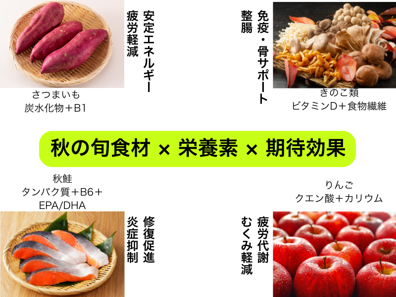 秋の旬食材（さつまいも・きのこ類・秋鮭・りんご）と主な栄養素・期待効果の対応表：安定エネルギー、免疫・骨サポート、修復・炎症抑制、疲労代謝・むくみ軽減