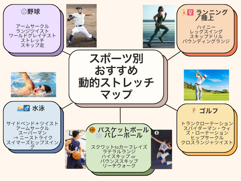 スポーツ別おすすめ動的ストレッチマップ
