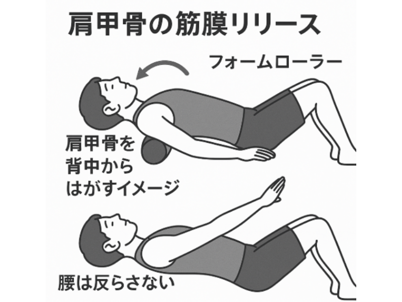 肩甲骨の筋膜リリース図解
