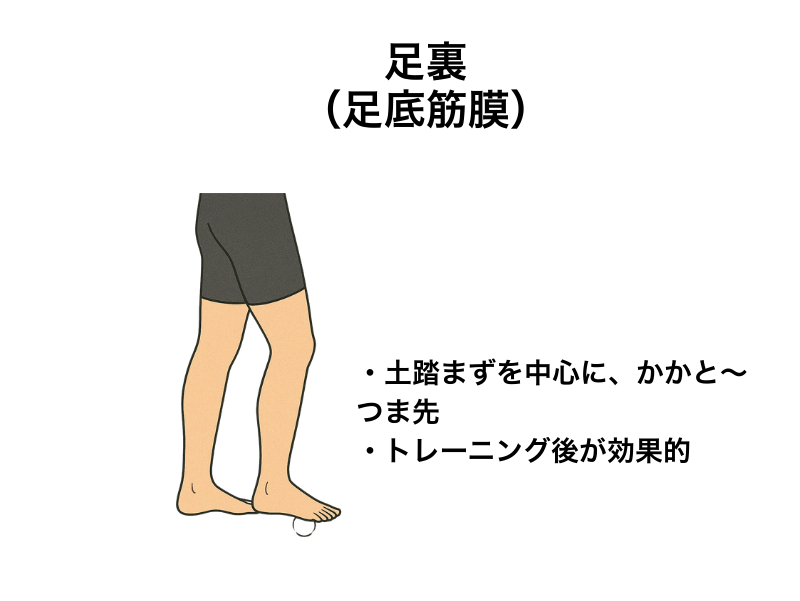 筋膜リリース 足裏（足底筋膜） ゴルフボールでのほぐし方｜土踏まず中心にかかと〜つま先へ転がす