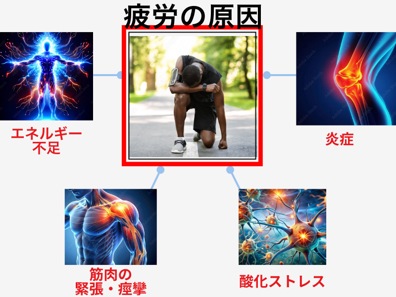 疲労の原因と代表的な要素