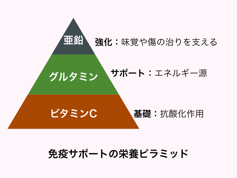 免疫サポートの栄養ピラミッド