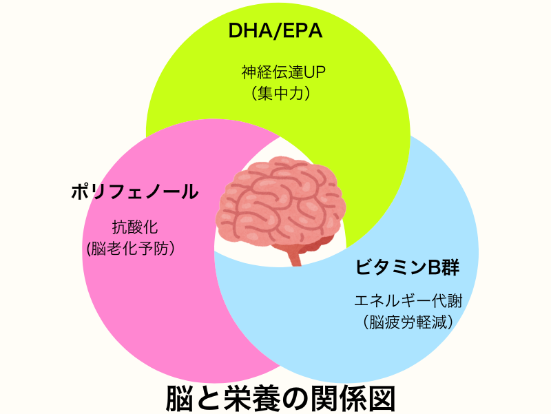 脳と栄養の関係図