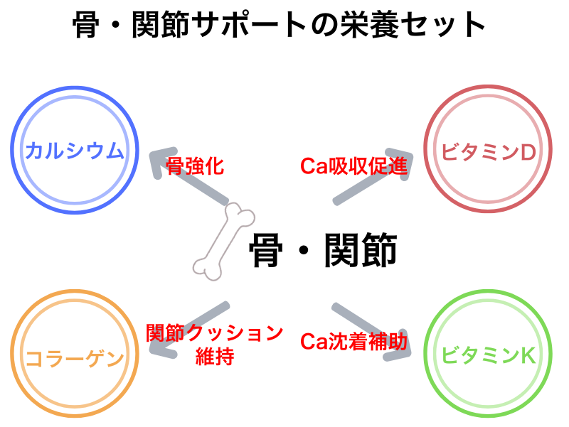 骨・関節サポートの栄養セット