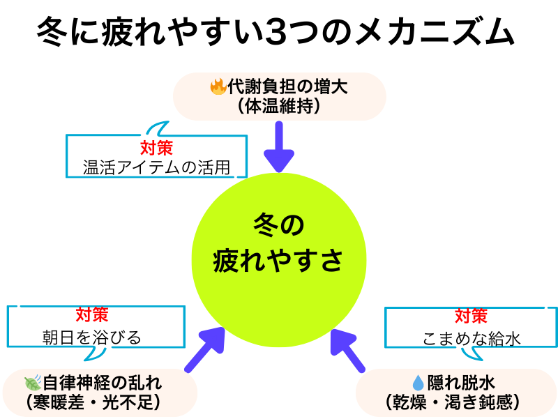 冬に疲れやすい3つのメカニズムと主な対策を示した図解