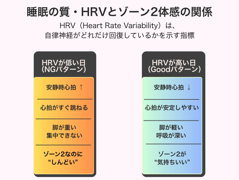 睡眠の質・HRVとゾーン2体感の関係