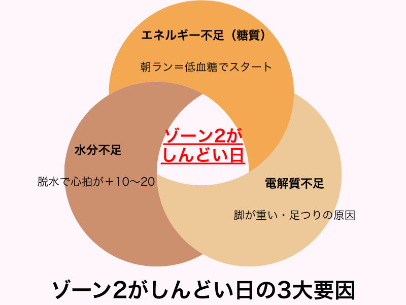 ゾーン2がしんどい日の原因として、エネルギー不足・水分不足・電解質不足の3つが重なっていることを示したベン図