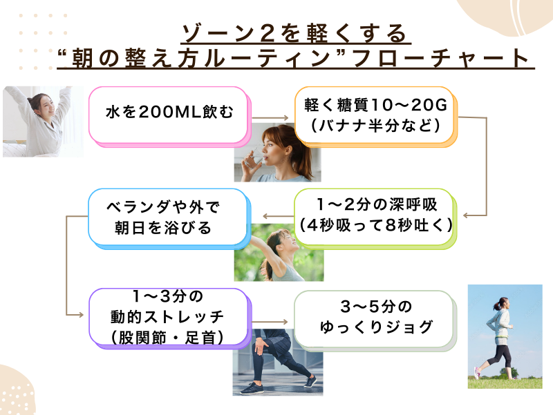 ゾーン2を軽くする朝の整えルーティン フローチャート