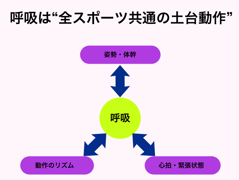 呼吸は全スポーツ共通の土台動作 図解