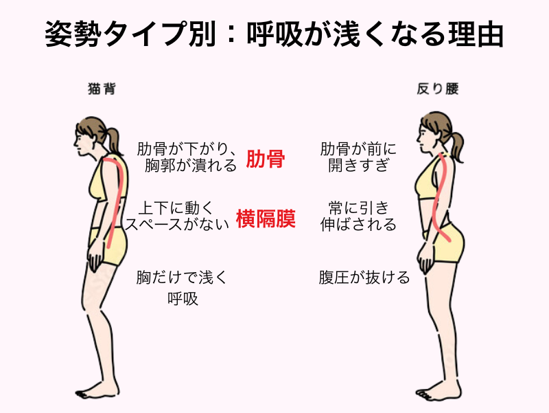 猫背 反り腰 呼吸が浅くなる理由 図解
