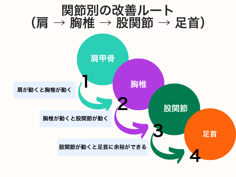 肩甲骨・胸椎・股関節・足首の4つの関節が、順番に改善していくルートを示した図解