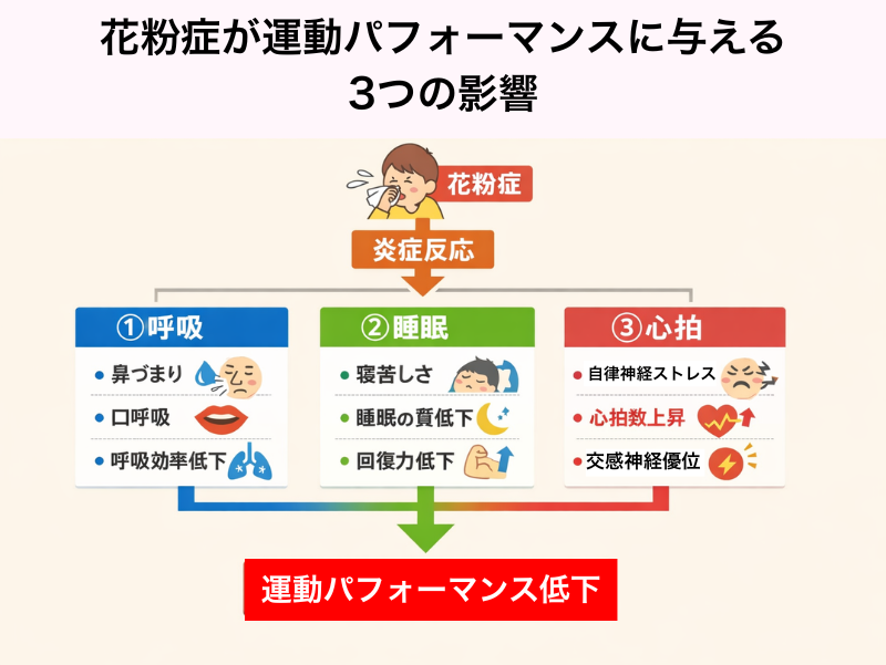 花粉症が運動パフォーマンスに与える3つの影響