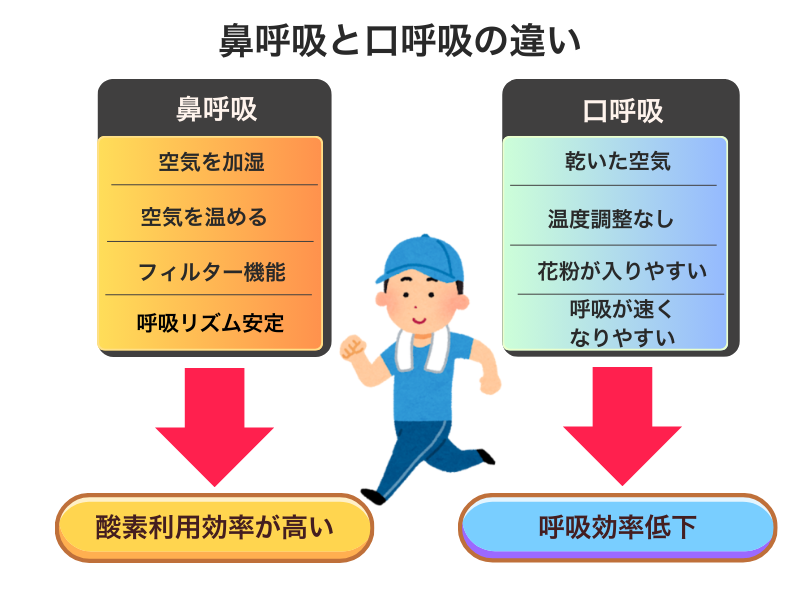 鼻呼吸と口呼吸の違い