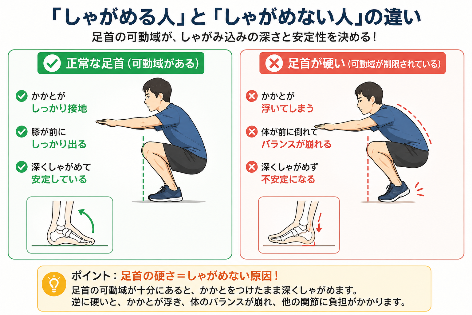 しゃがめる人としゃがめない人の足首可動域の違い