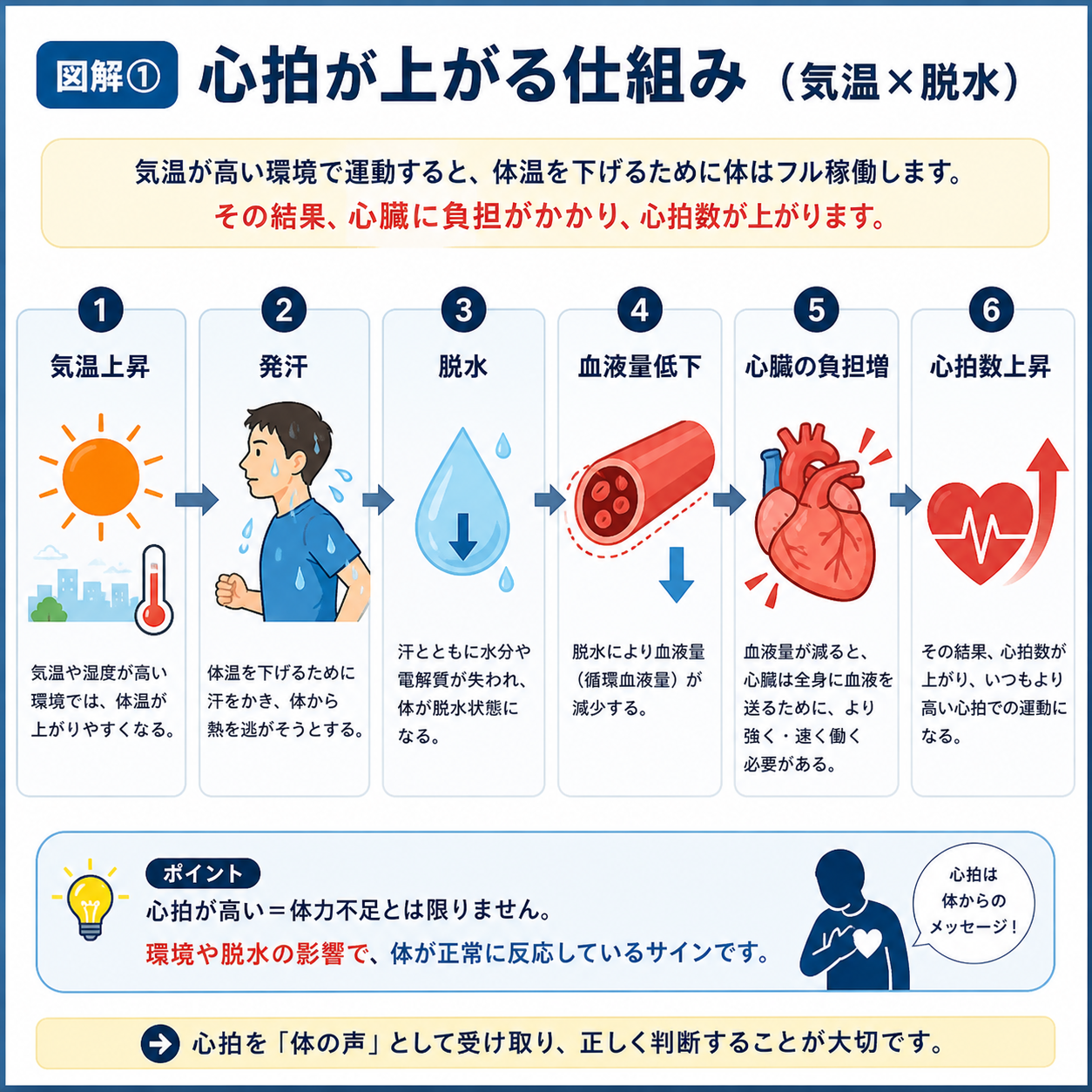 気温上昇と脱水によって心拍が上がる仕組み