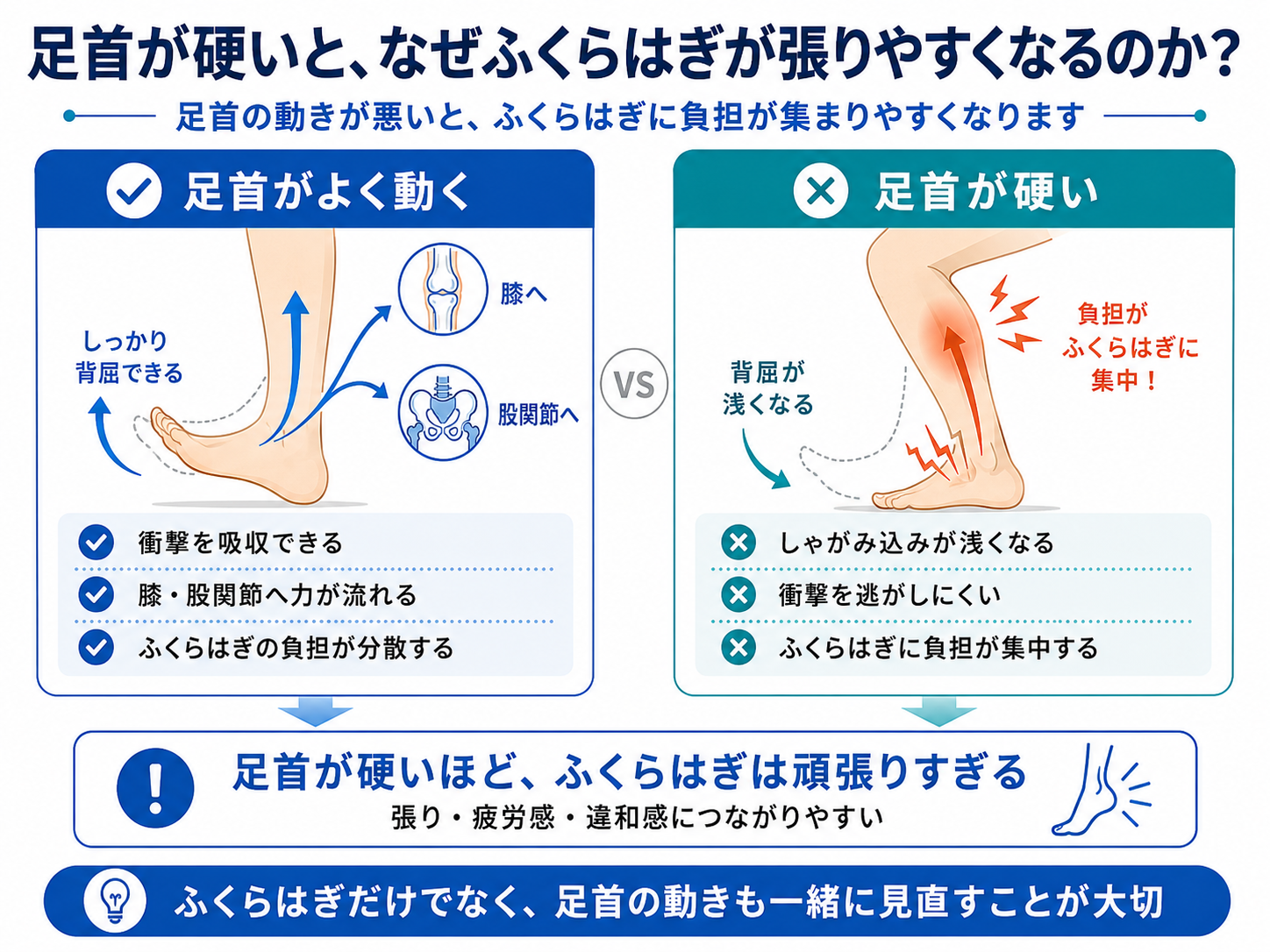 足首が硬いとふくらはぎが張りやすくなる理由。足首がよく動く状態では衝撃を吸収し、足首が硬い状態ではふくらはぎに負担が集中する比較図解