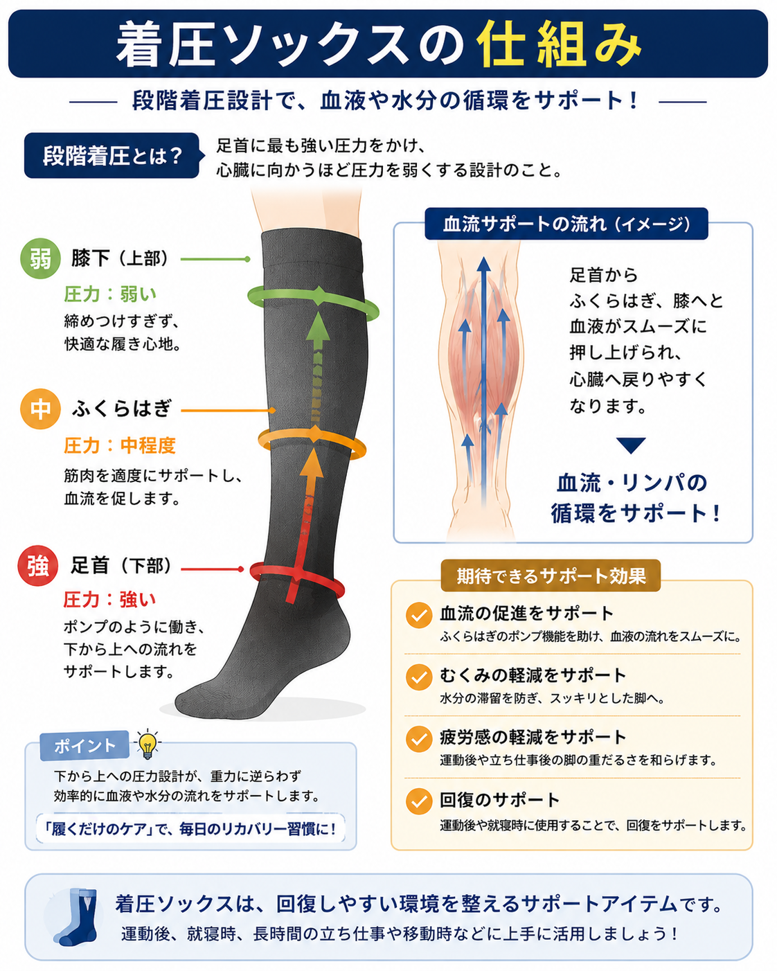着圧ソックスの仕組み。足首からふくらはぎ、膝下へ向かって圧力が変わる段階着圧設計を解説した図解